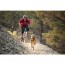 scarpe per trekking per cane